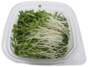 1.5 oz. Waltham Broccoli Microgreens
