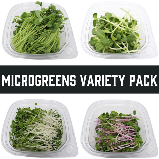 Microgreens Variety Pack