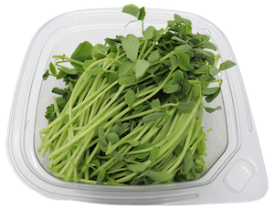 3.5 oz. Speckled Pea Microgreens