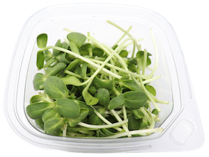 3.5 oz. Black Oil Sunflower Microgreens